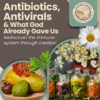 Antivirals, Antibiotics & What God Already Gave Us