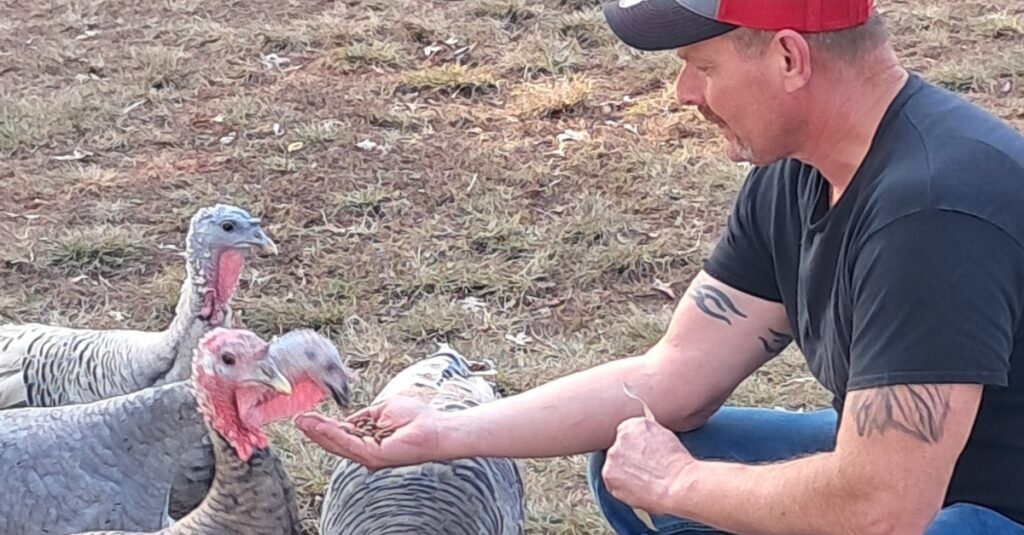 Hand feeding turkeys outdoors at The Fillingame Homestead, showing a close connection between people and animals.